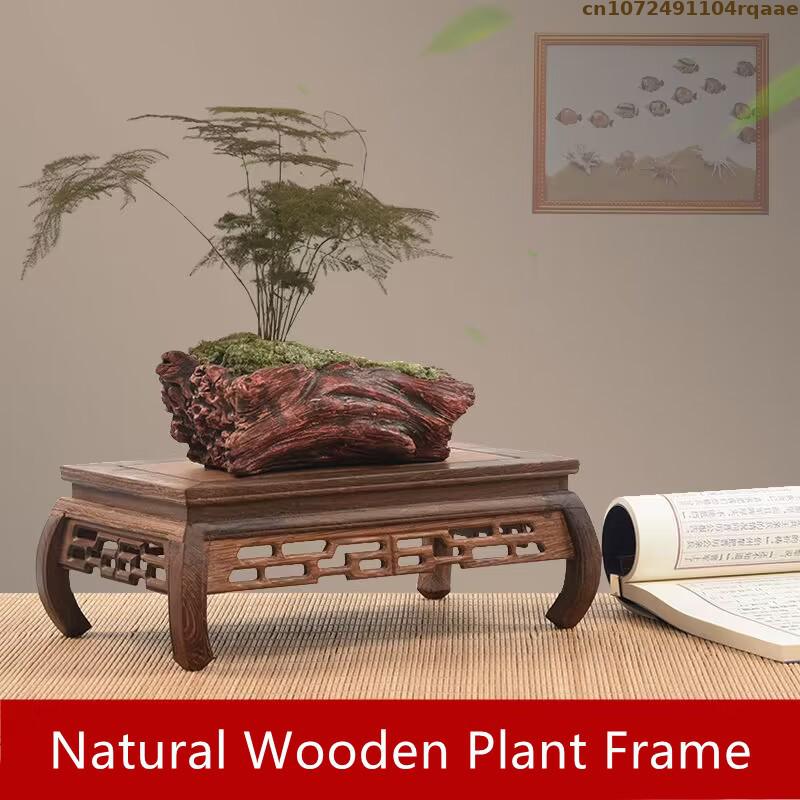 Premium Wooden Bases Bonsai Ho - đánh giá và giá Coffee Tea Flower