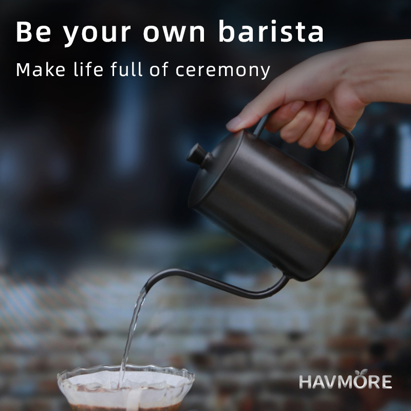 HAVMORE 304 Stainless Steel Te - đánh giá và giá Coffee Tea Pots